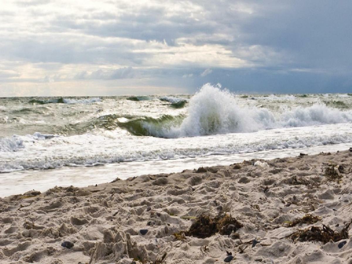 Tu Hus In Linde Eck Βίλα Zingst Εξωτερικό φωτογραφία